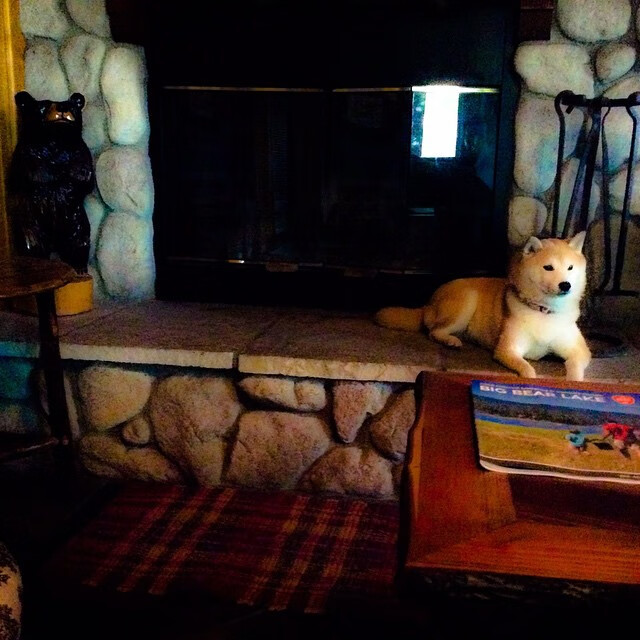 体育社团活动对学生社会能力培养影响路径研究，对体育社团的认识